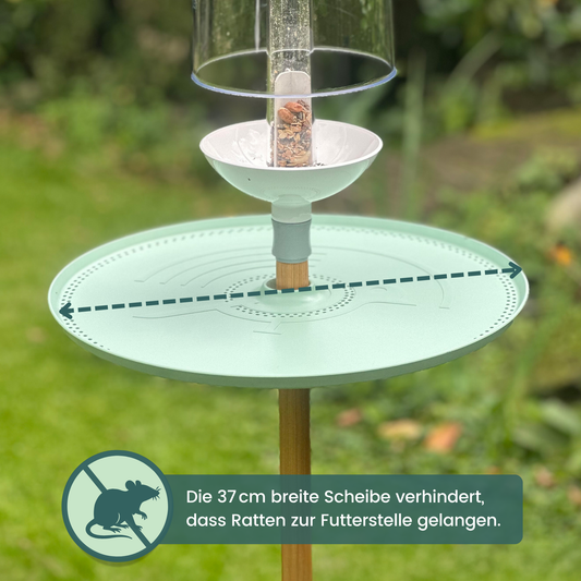BIRFEE - Rattenschutz fürs Vogelhaus