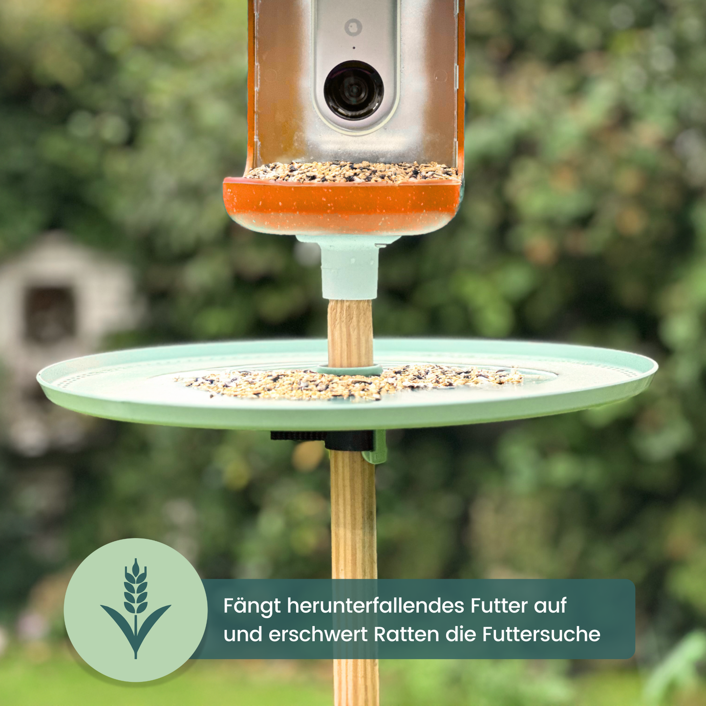 BIRFEE - Rattenschutz fürs Vogelhaus