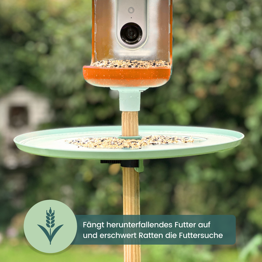 BIRFEE - Rattenschutz fürs Vogelhaus