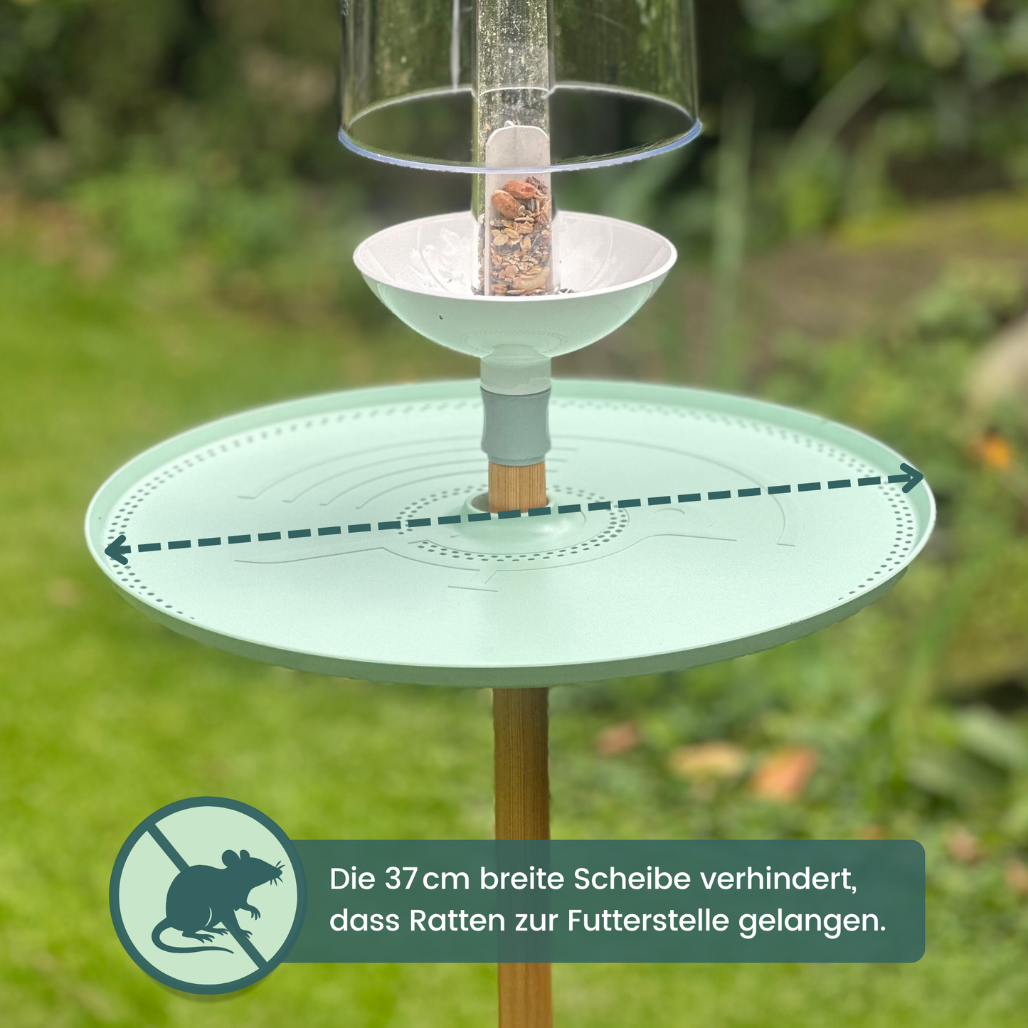 BIRFEE - Rattenschutz fürs Vogelhaus